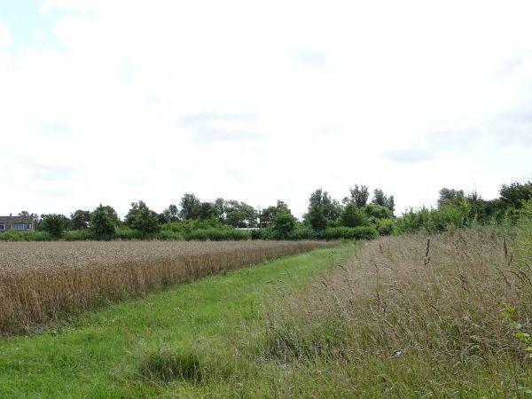 Afbeelding van VZ055 Chalet Oostkapelle