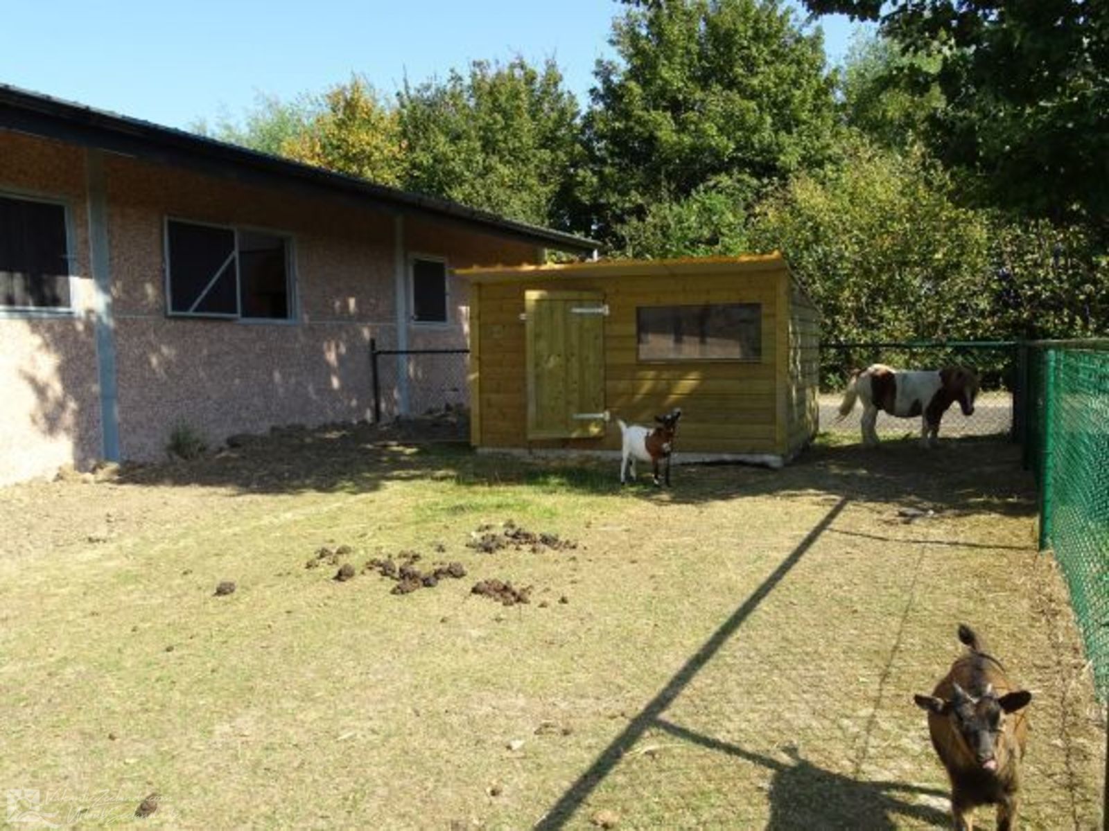 VZ095 Chalet Ossenisse
