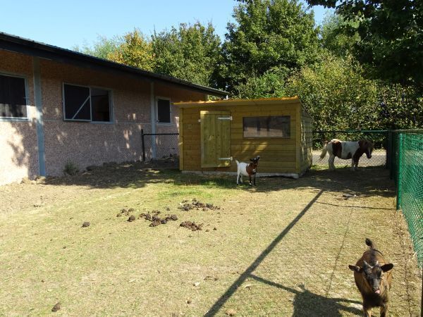 Afbeelding van VZ095 Chalet Ossenisse