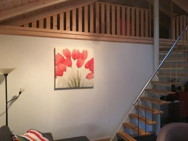 Afbeelding van VZ517 Vakantiechalet Sint-Annaland