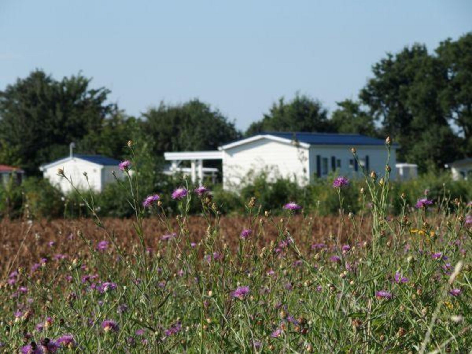 VZ539 Vakantiechalet Ouwerkerk