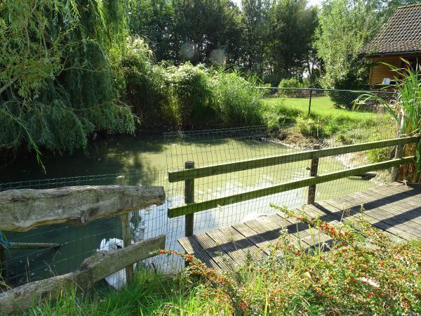Afbeelding van VZ455 Vakantiechalet Ossenisse
