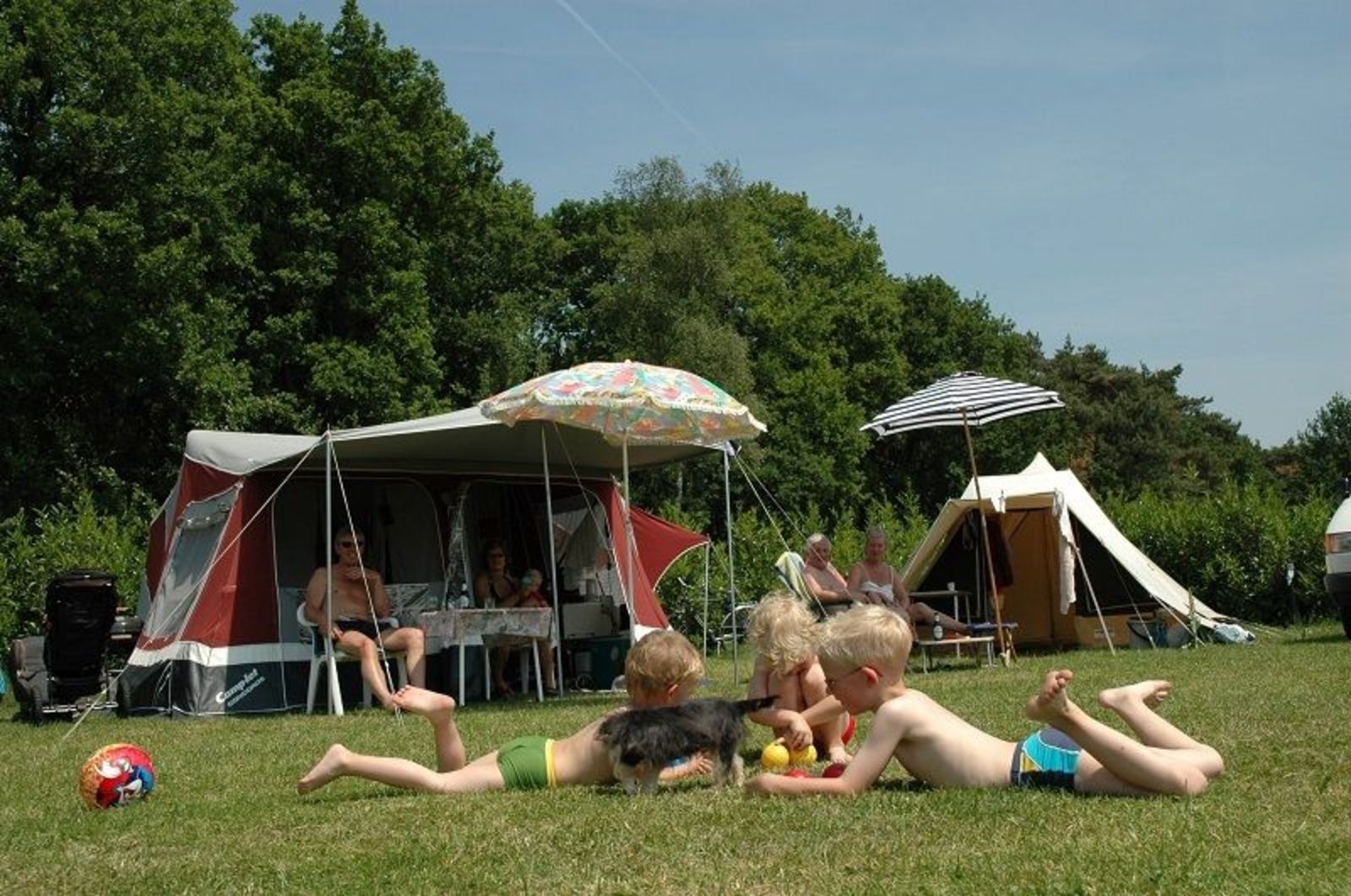 Kampeerplaats 'Basic'