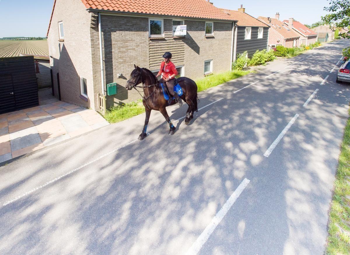 Afbeelding van VZ603 Vakantiehuis Kamperland