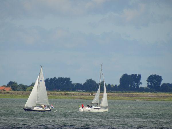 Afbeelding van VZ619 Vakantiehuis Stavenisse
