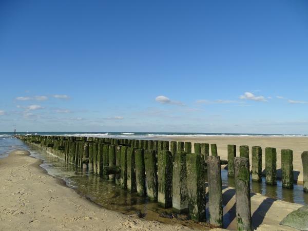 Afbeelding van VZ356 Chalet Oostkapelle