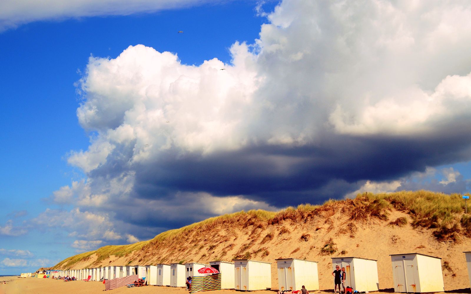 Afbeelding van Texels Landleven - duurzaam en luxe vakantiehuis voor groepen