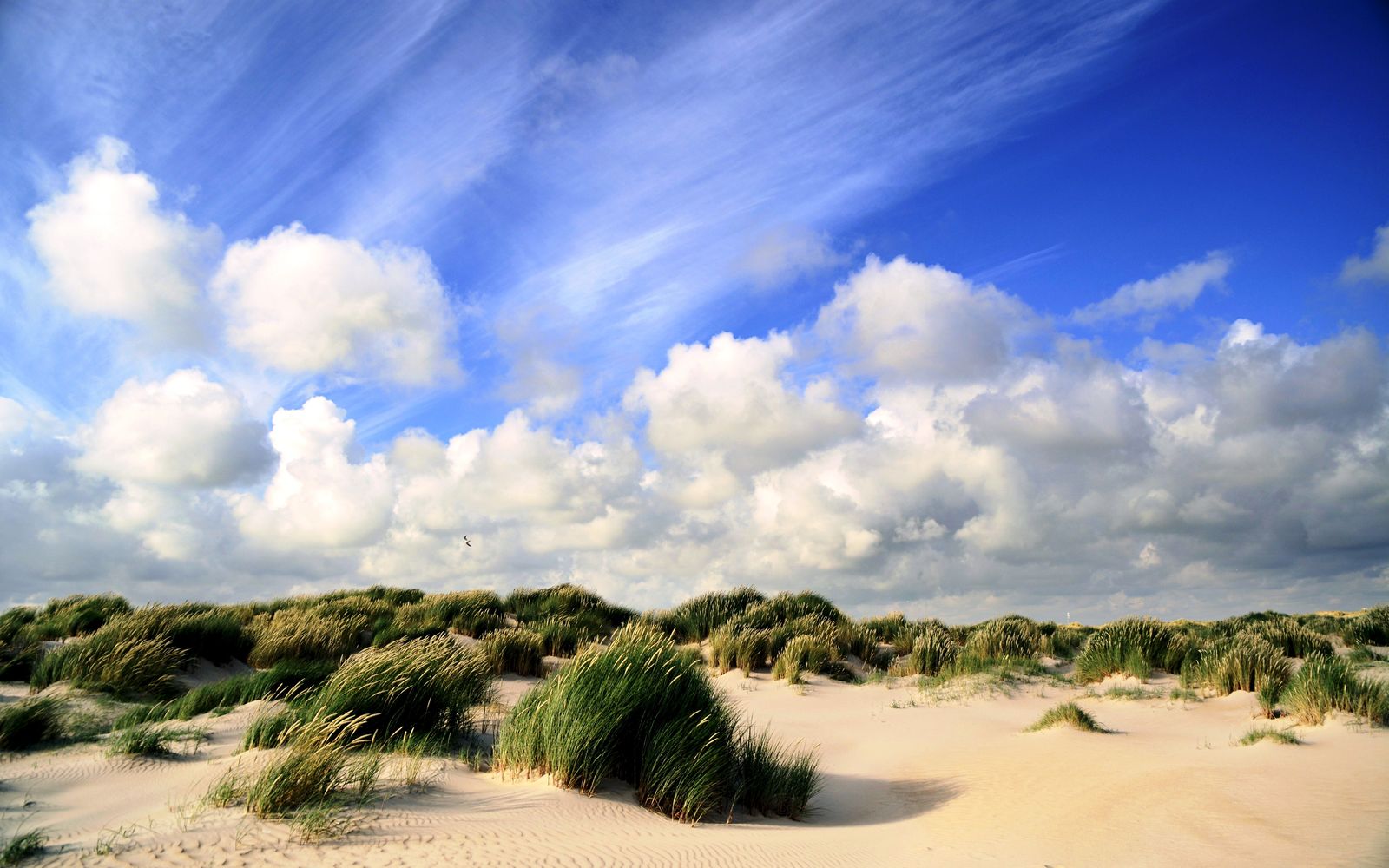 Afbeelding van Texels Landleven - duurzaam en luxe vakantiehuis voor groepen