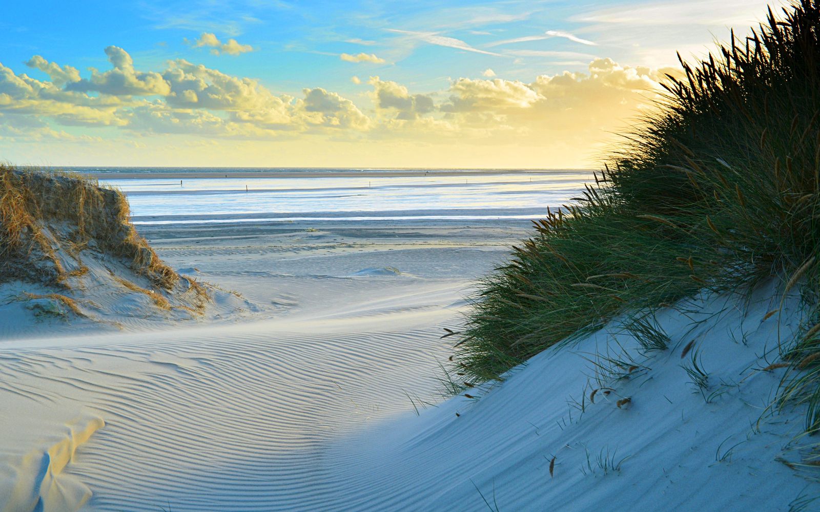 Afbeelding van Texels Landleven - duurzaam en luxe vakantiehuis voor groepen