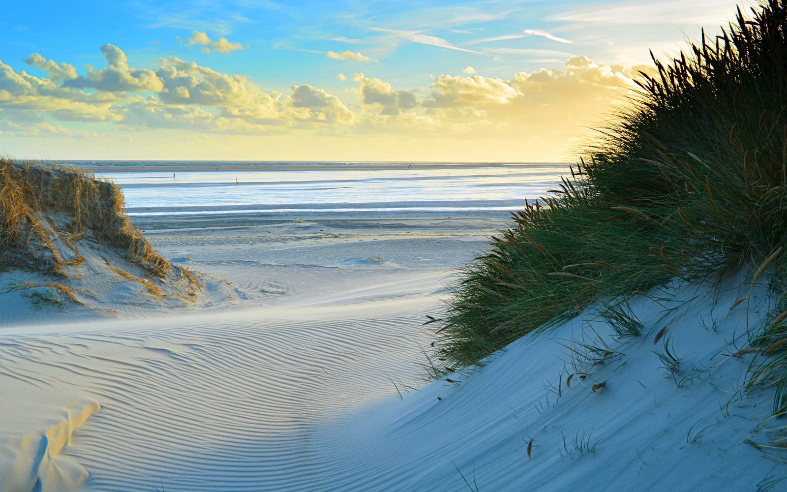 Texels Landleven - duurzaam en luxe vakantiehuis voor groepen