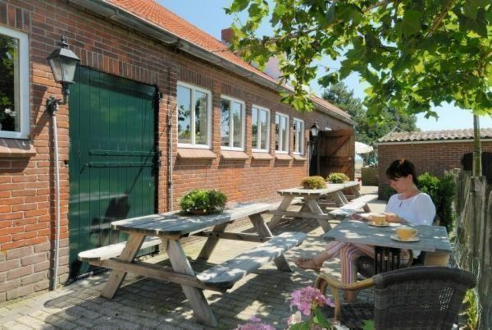 VZ216 Group accommodation Renesse
