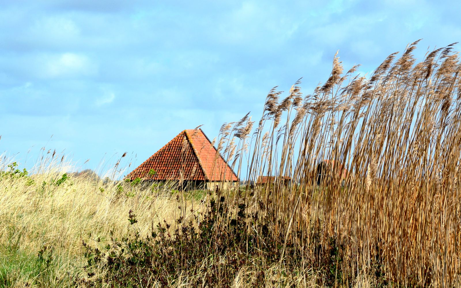 Afbeelding van Texels Landleven XL - groepsvakantiehuis met sauna en ecozwemvijver