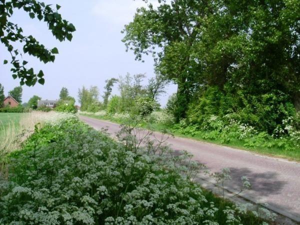 Afbeelding van VZ244 Chalet Oostkapelle