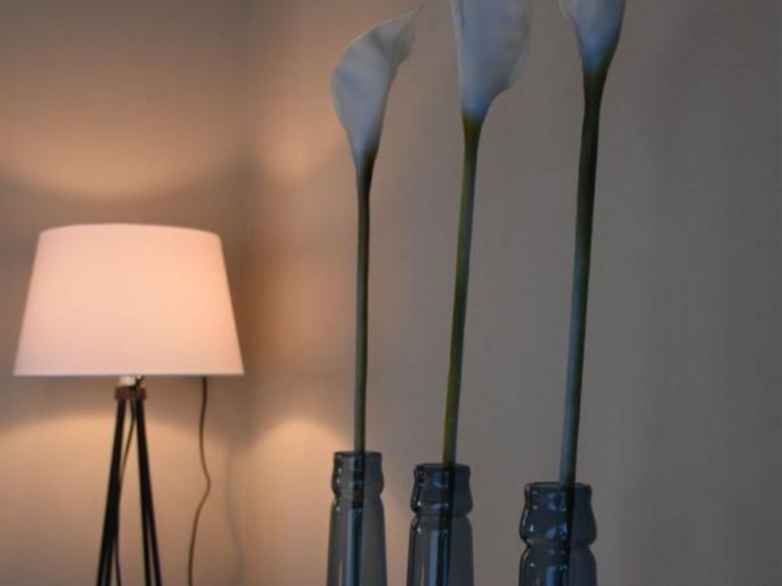VZ288 Appartement Cadzand