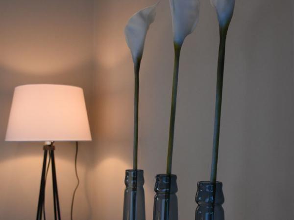 Afbeelding van VZ288 Appartement Cadzand