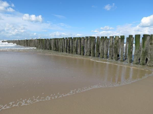 Afbeelding van VZ288 Appartement Cadzand