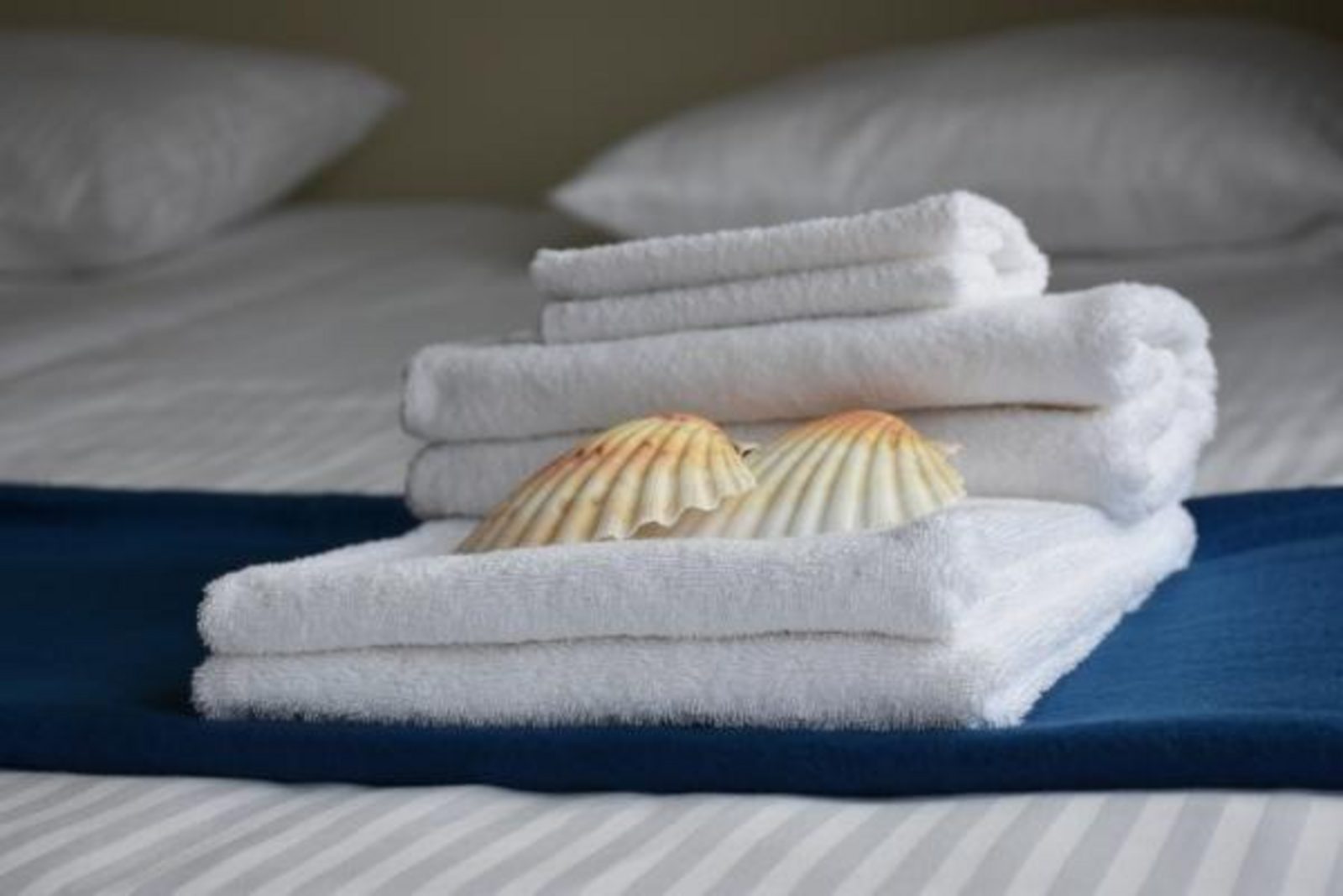 VZ288 Appartement Cadzand