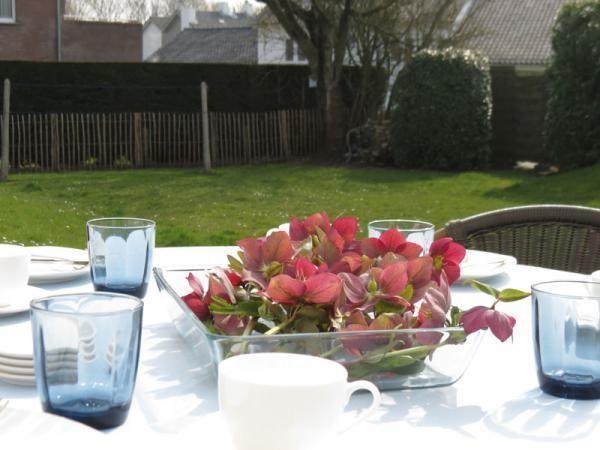 Afbeelding van VZ289 Vakantiehuis Cadzand