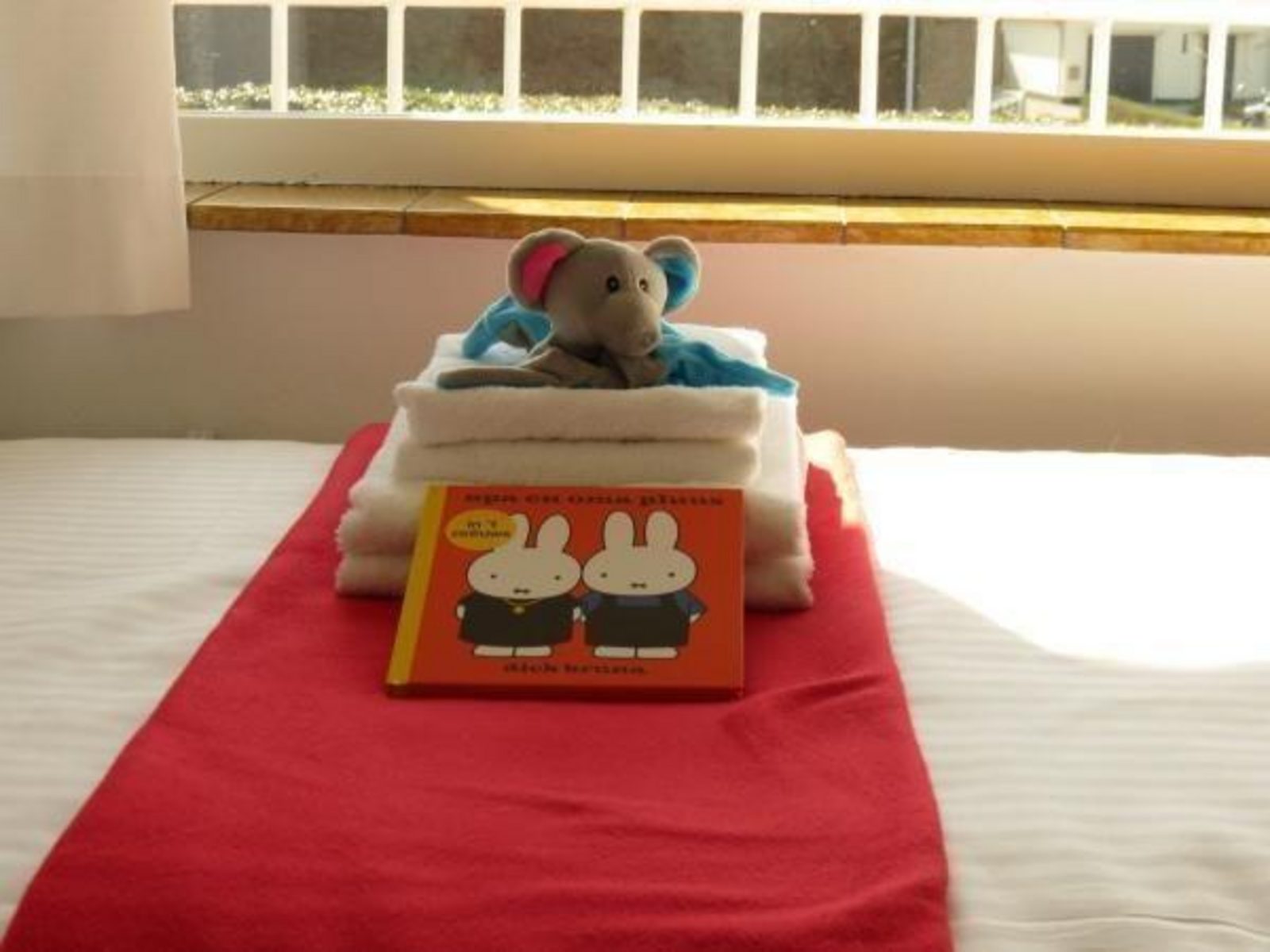 VZ290 Appartement Cadzand