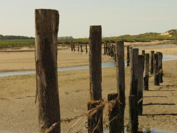 Afbeelding van VZ304 Vakantiehuis Cadzand
