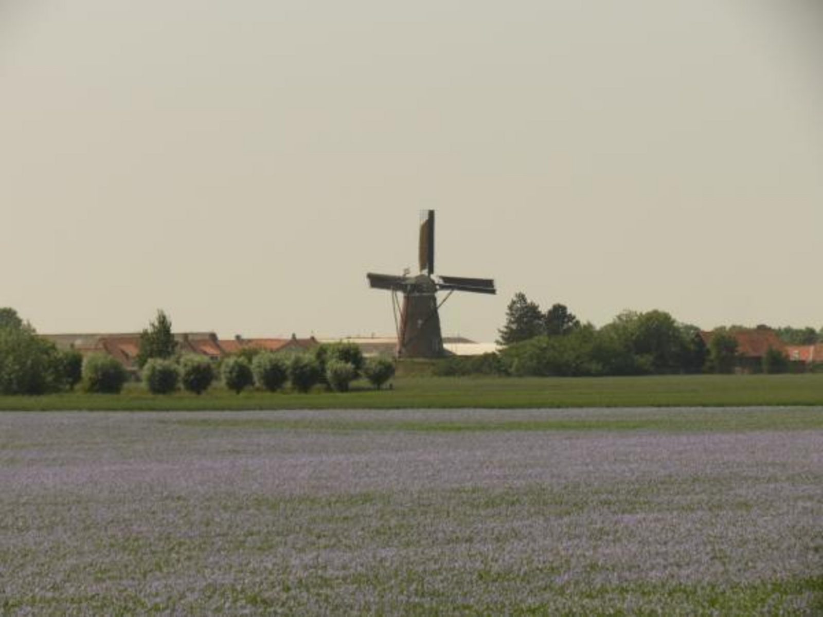 VZ304 Vakantiehuis Cadzand
