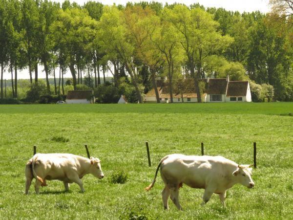 Afbeelding van VZ306 Appartement Cadzand