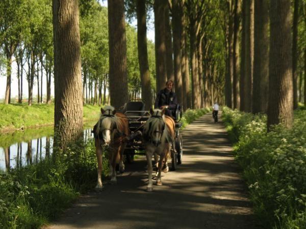 Afbeelding van VZ306 Appartement Cadzand