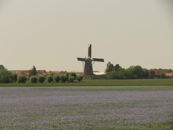Afbeelding van VZ 310 Appartement Cadzand