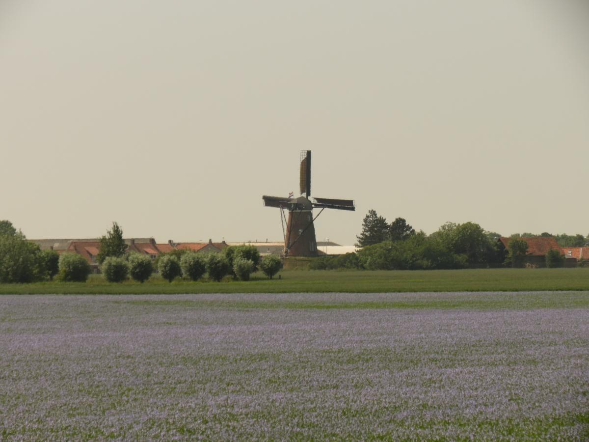 Afbeelding van VZ314 Royaal Appartement Cadzand