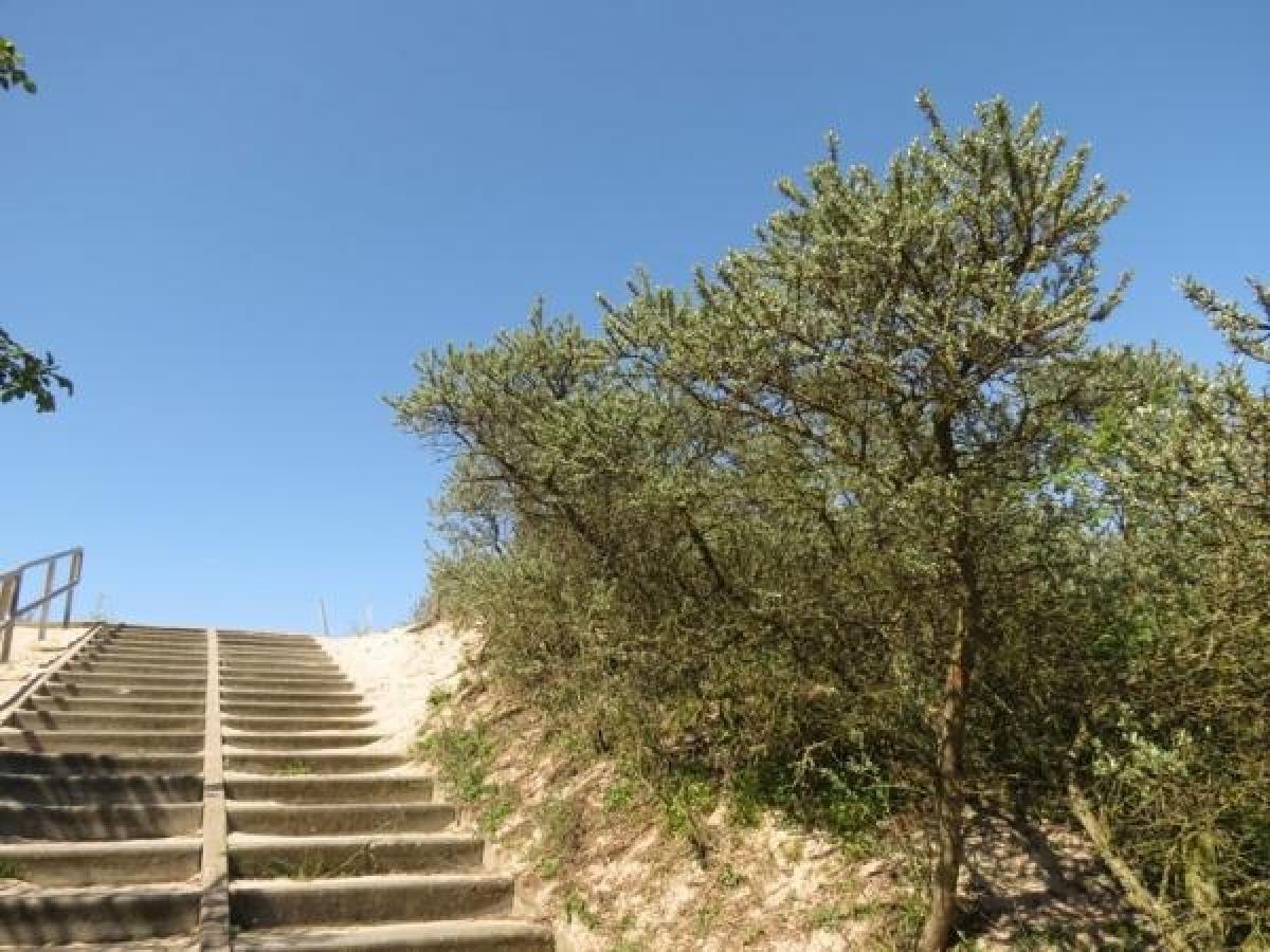 Afbeelding van VZ344 Vakantiehuisje Cadzand