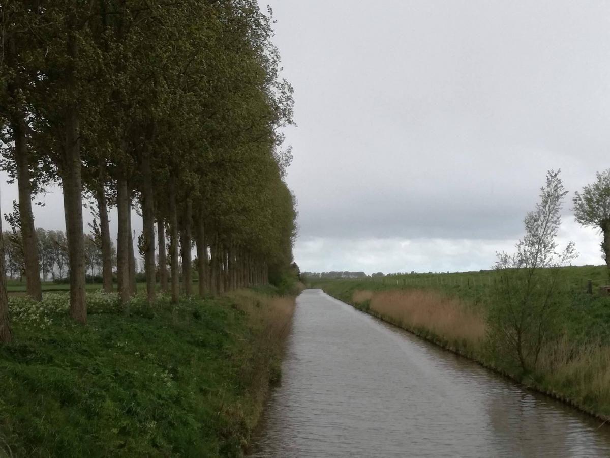 Afbeelding van VZ480 Vakantiehuisje Schoondijke