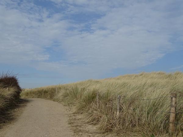 Afbeelding van VZ489 Vakantiechalet in Serooskerke