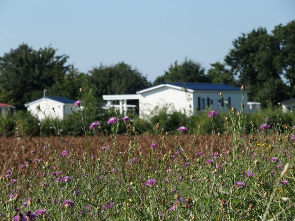 Afbeelding van VZ538 Lodge Ouwerkerk