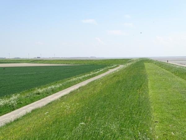 Afbeelding van VZ558 Vakantiehuis Stavenisse