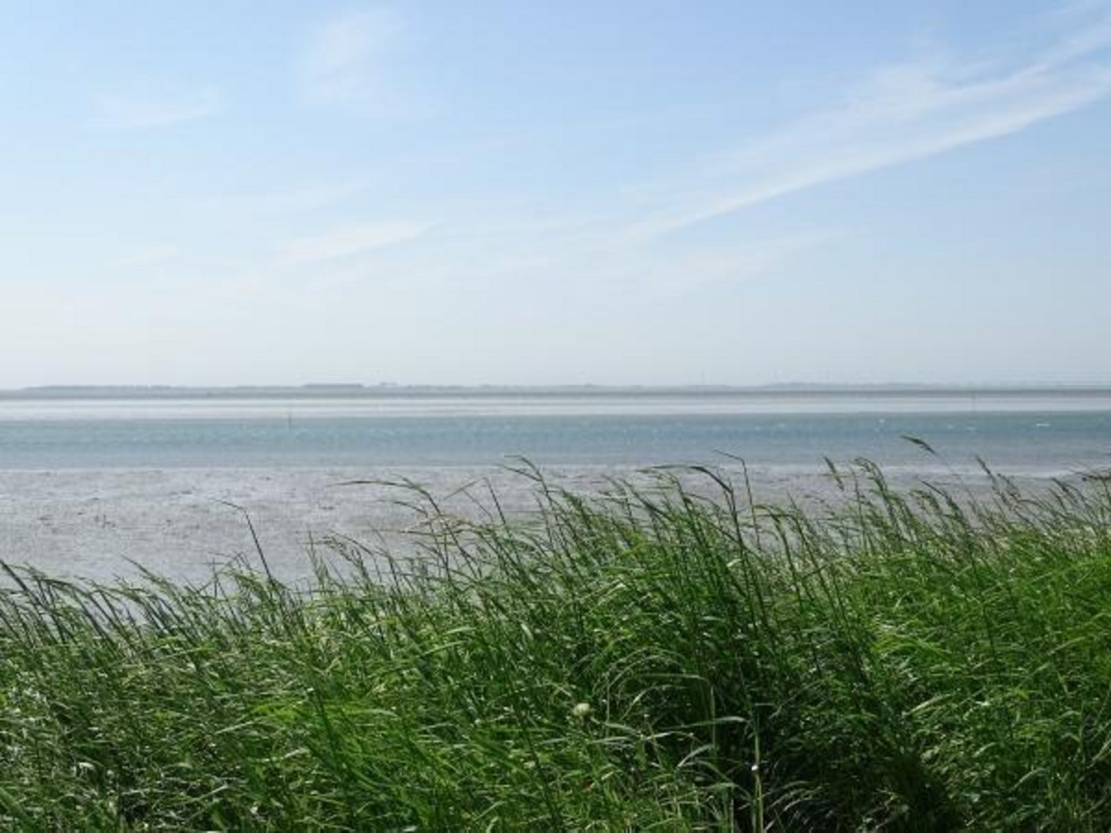 VZ558 Vakantiehuis Stavenisse