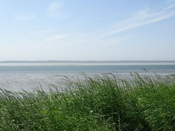 Afbeelding van VZ558 Vakantiehuis Stavenisse