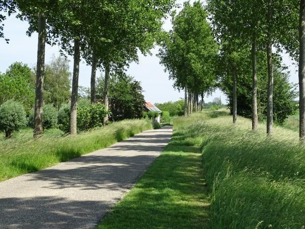 Afbeelding van VZ577 Vakantiehuis Wolphaartsdijk