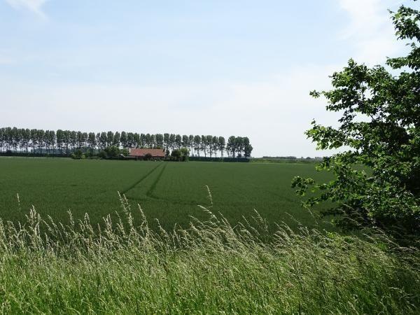 Afbeelding van VZ577 Vakantiehuis Wolphaartsdijk
