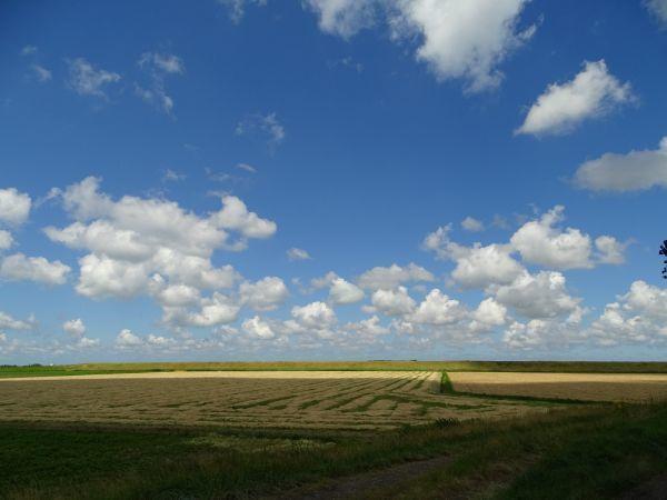 Afbeelding van VZ582 Vakantiehuis Stavenisse