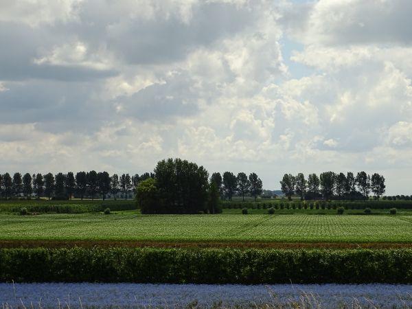 Afbeelding van VZ582 Vakantiehuis Stavenisse