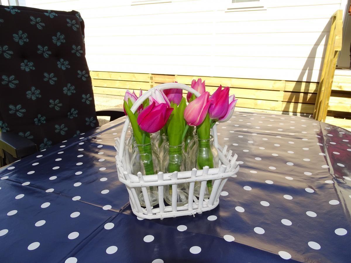 Afbeelding van VZ640 Chalet Scharendijke