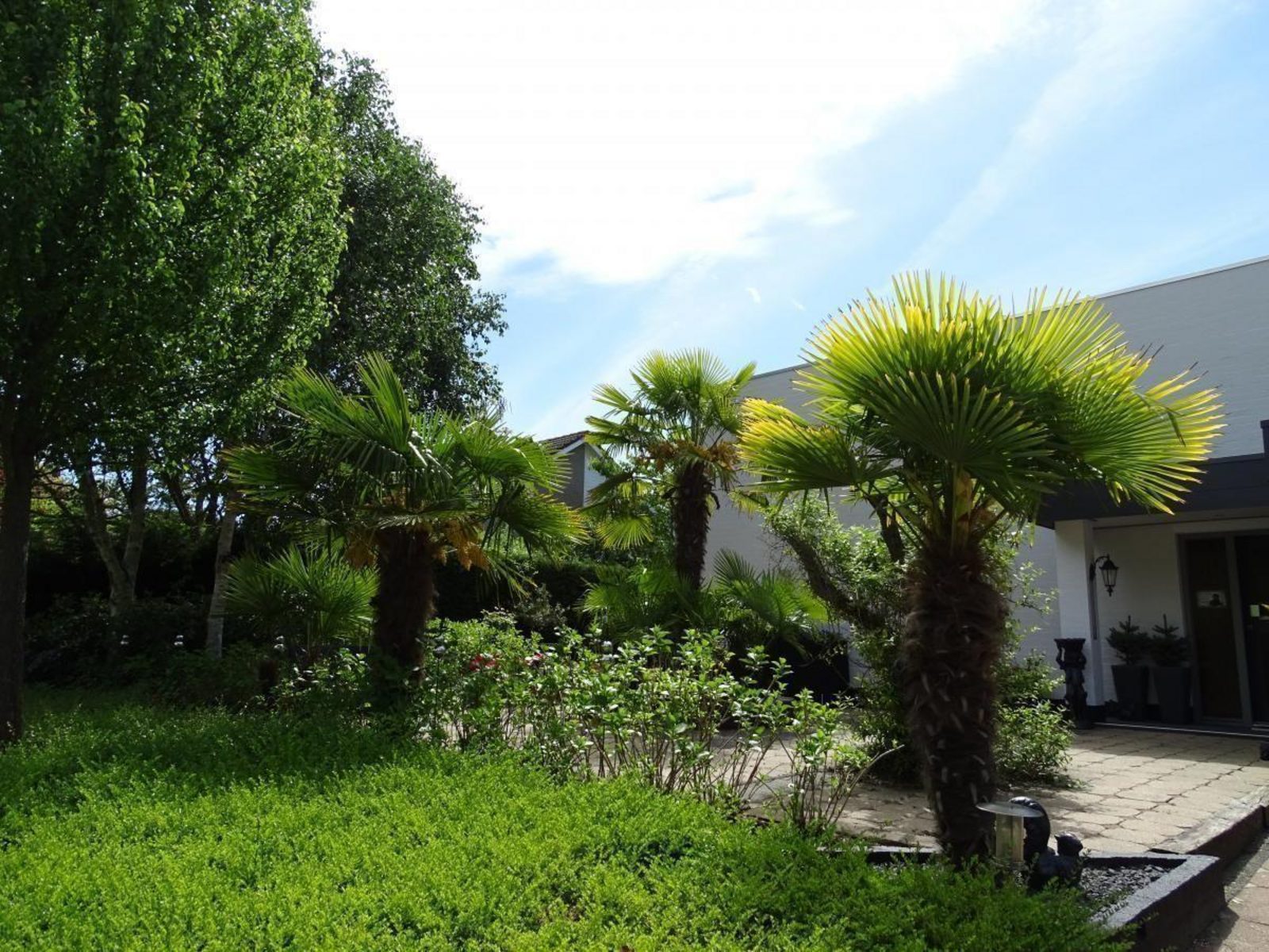 VZ645 Appartement Koudekerke-Dishoek