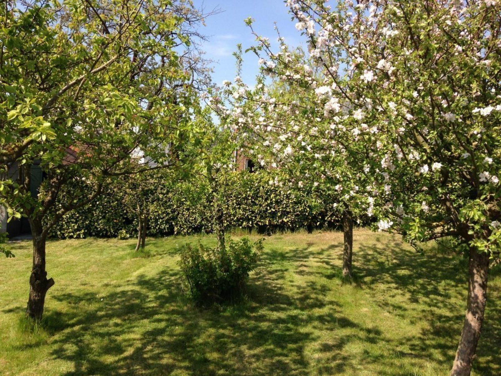 VZ495 Holiday Home Walsoorden