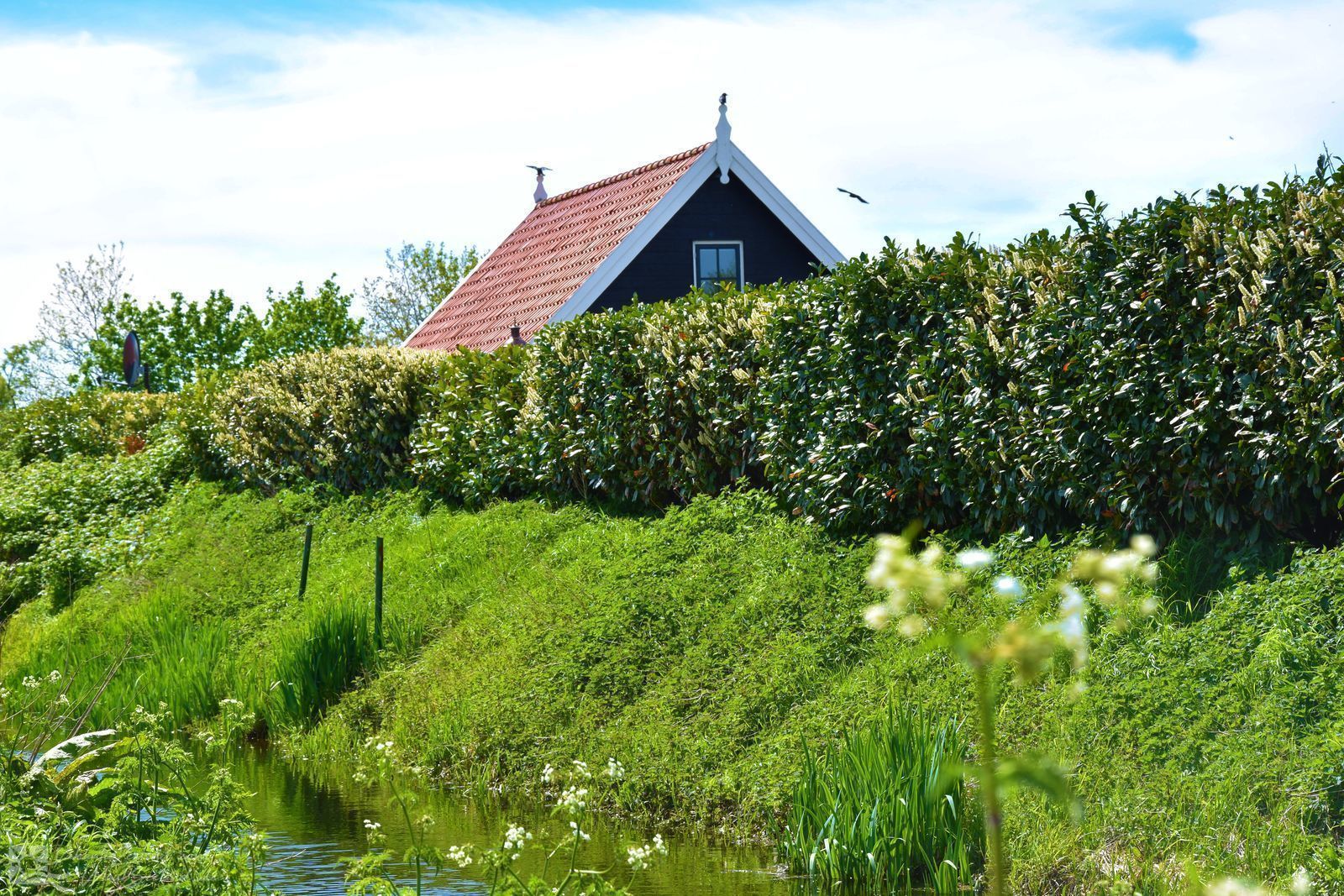 VZ704 Freistehendes Ferienhaus Renesse
