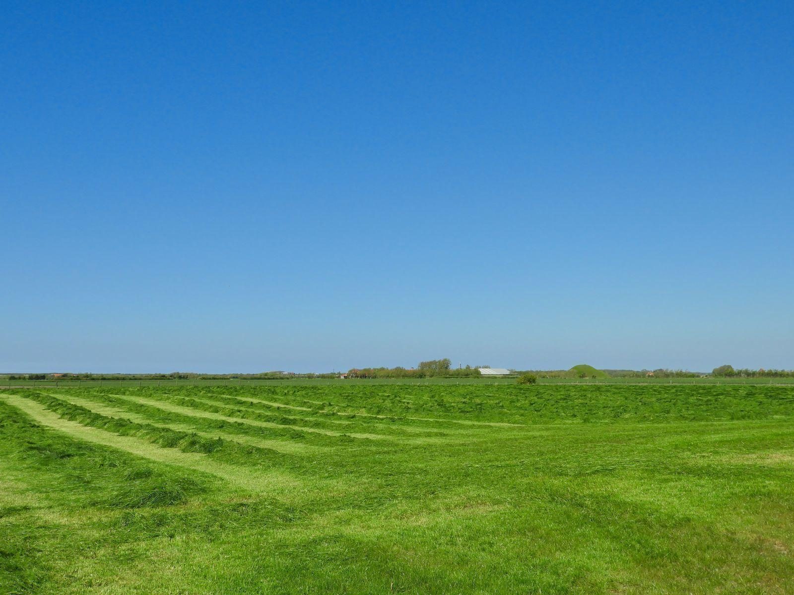 VZ666 Vakantiehuis Aagtekerke