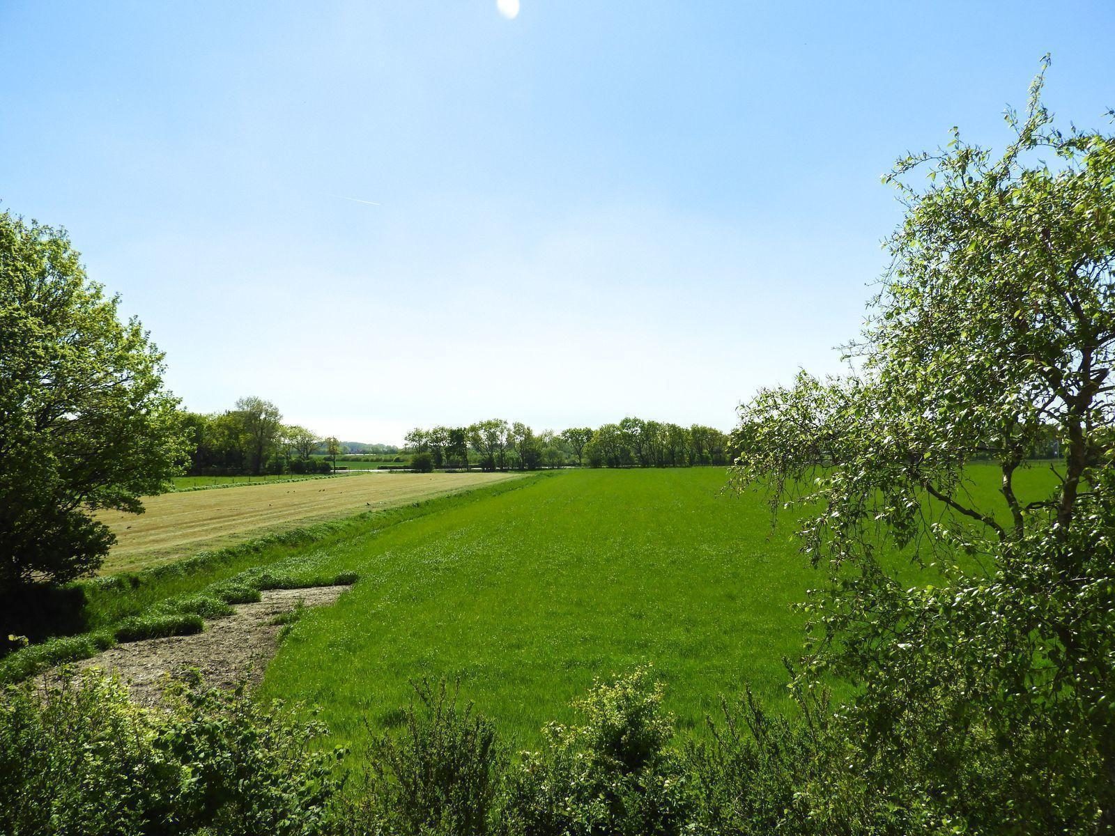 VZ488 Vakantiehuis Oostkapelle