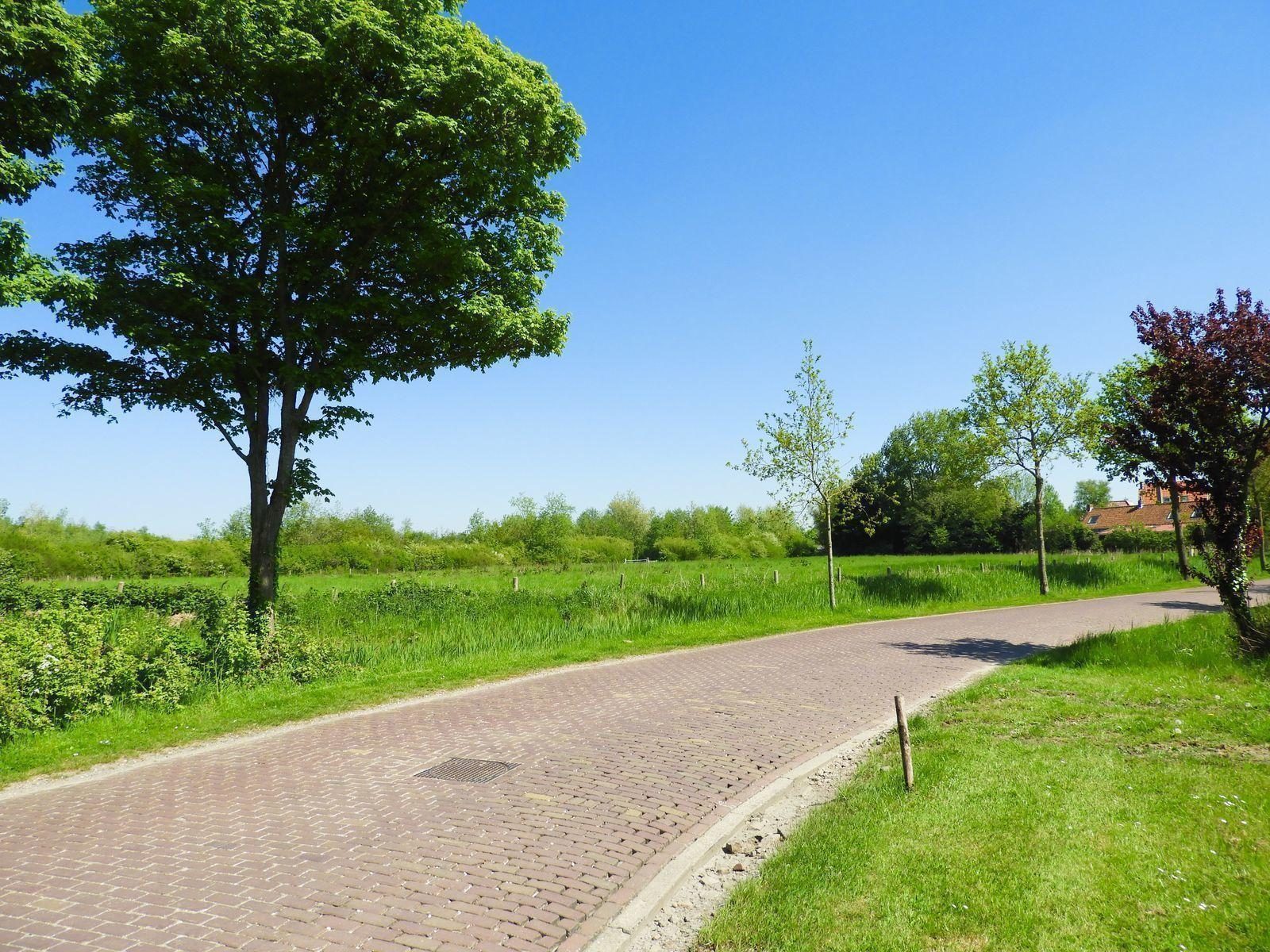 VZ488 Vakantiehuis Oostkapelle