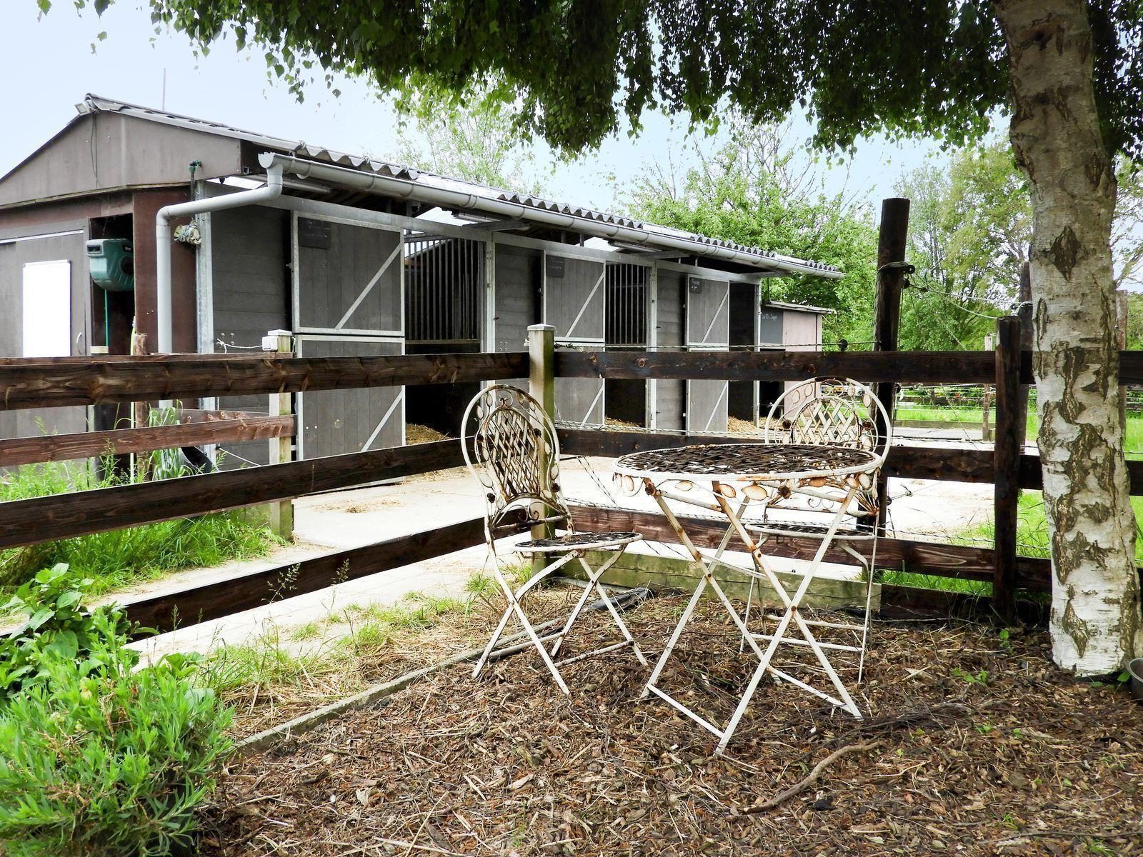 VZ116 Ferienhaus Serooskerke