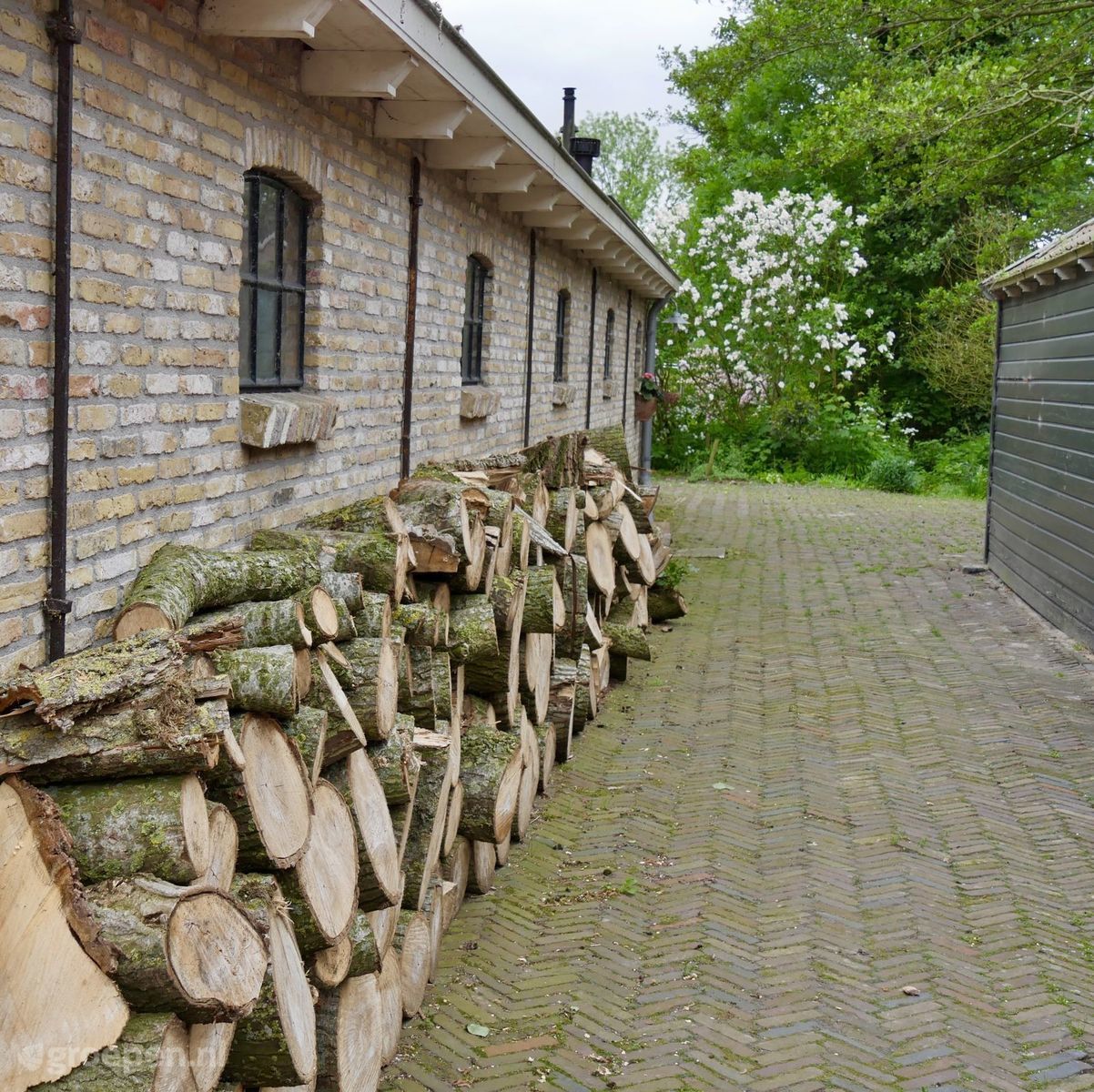 Uitwellingerga
