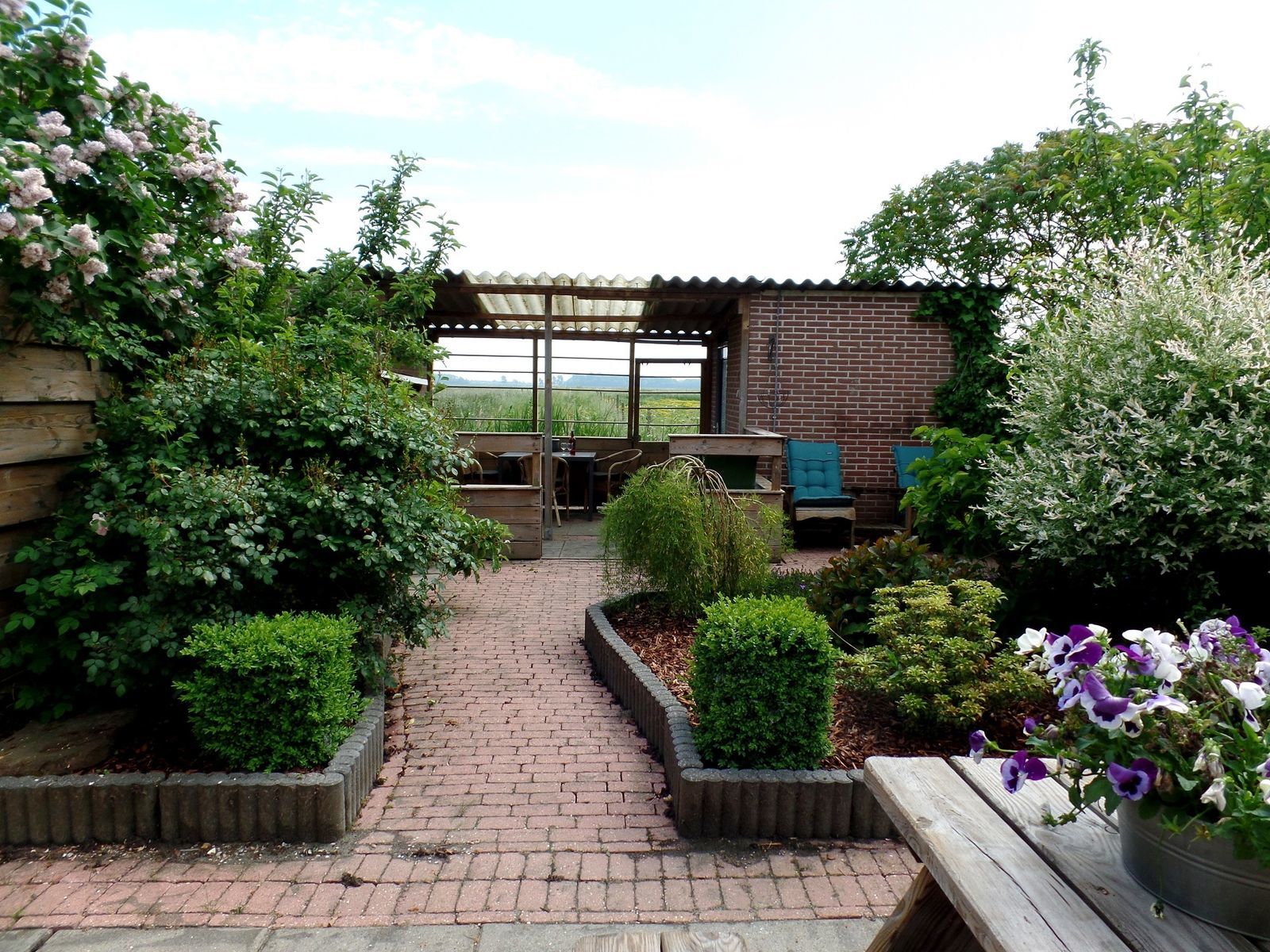 Ferienhaus -Hoefijzer 18